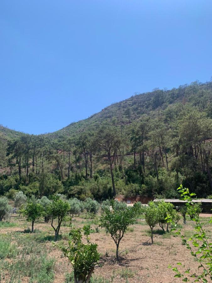 Doga Ciftlik Konaklama Marmaris Extérieur photo