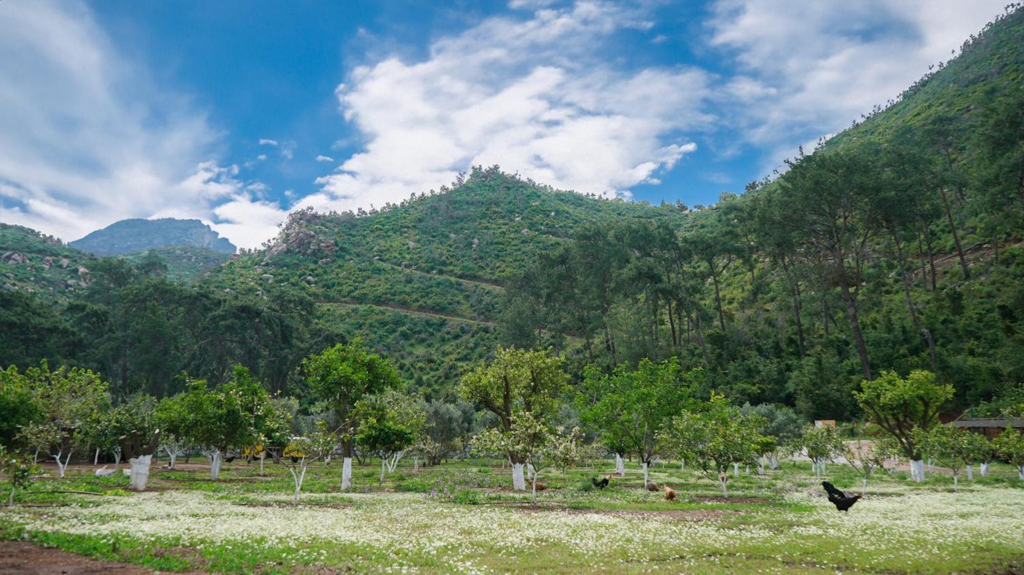 Doga Ciftlik Konaklama Marmaris Extérieur photo