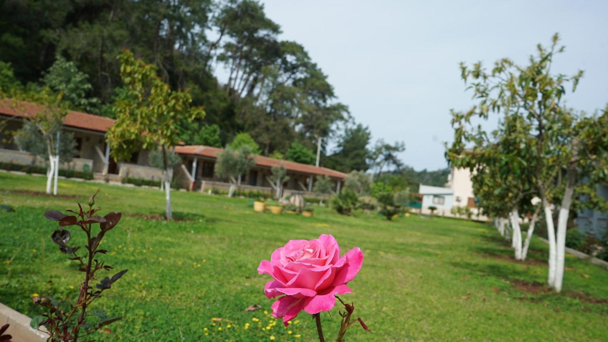 Doga Ciftlik Konaklama Marmaris Extérieur photo